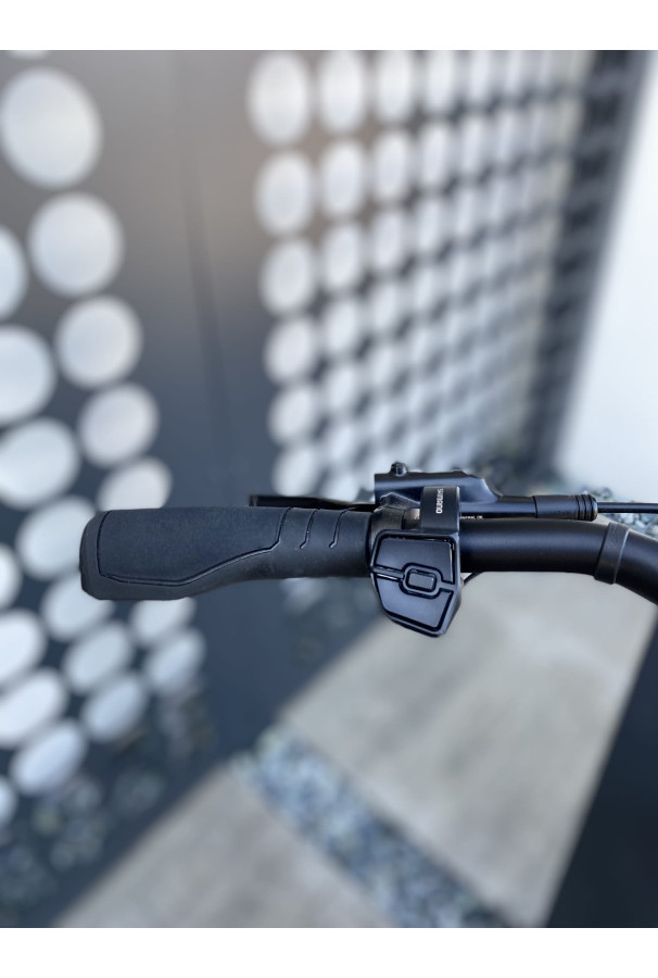 Rower E-Bike Gazelle CHAMONIX C7 HMS H57 + 500 Wh