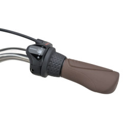 Rower Batavus PACKD 3 Szary Mat  D55