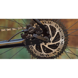 Rower Marin Muirwoods 700C L 2025