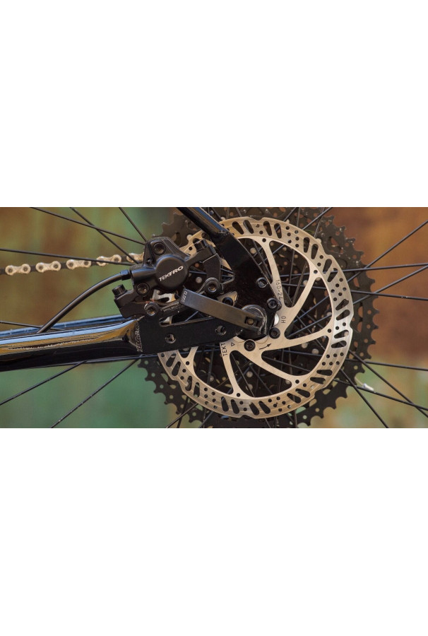 Rower Marin Muirwoods 700C L 2025