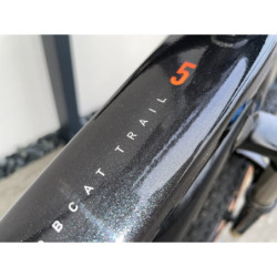 Rower Marin Bobcat Trail 5 Czarny 29" XL