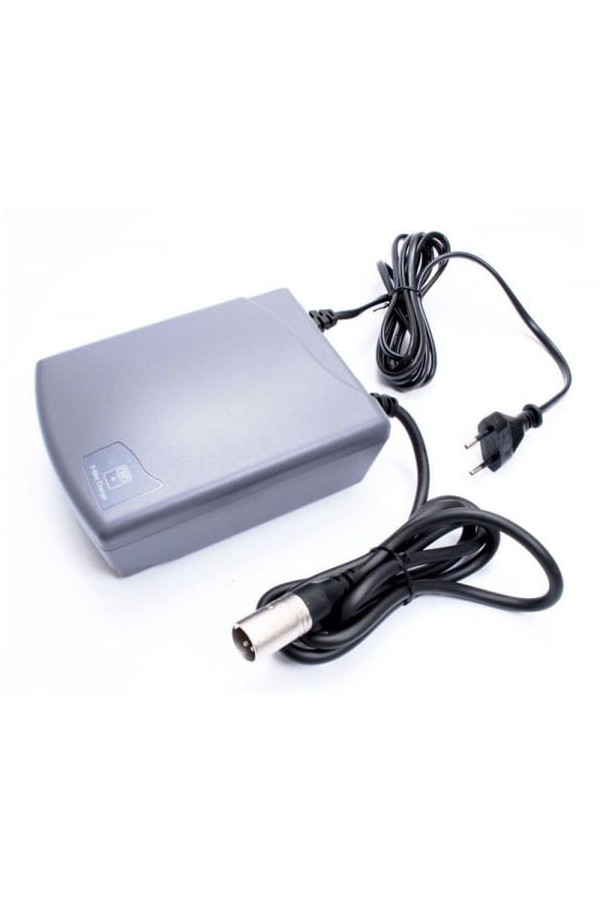 Ładowarka Sparta Batavus Koga ION