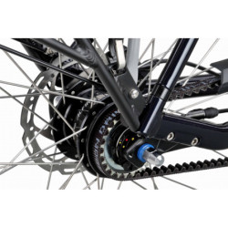 Rower miejski Batavus Finez Exclusive Alfine 8 D57