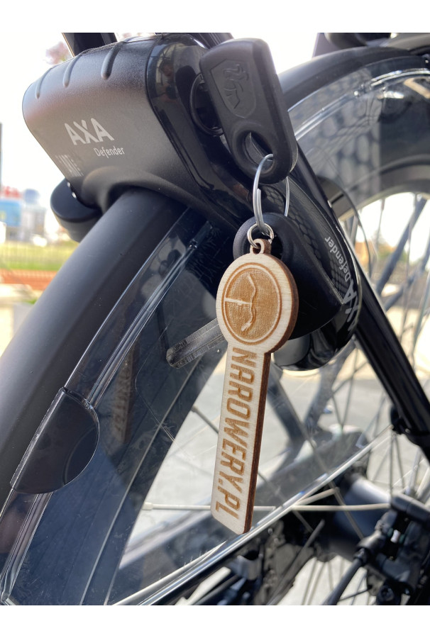 Rower eBike Batavus Finez E-GO D48 + 400Wh