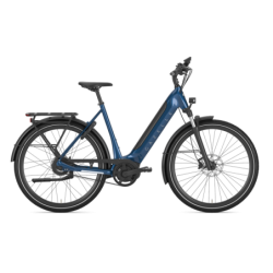 Rower eBike Gazelle...