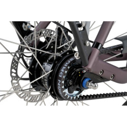 Rower miejski Batavus Finez Exclusive Alfine 8 D53