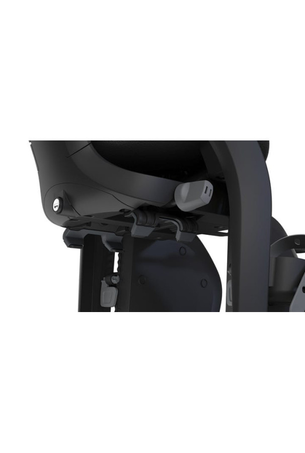 Fotelik rowerowy Thule Yepp 2 Maxi Alaska