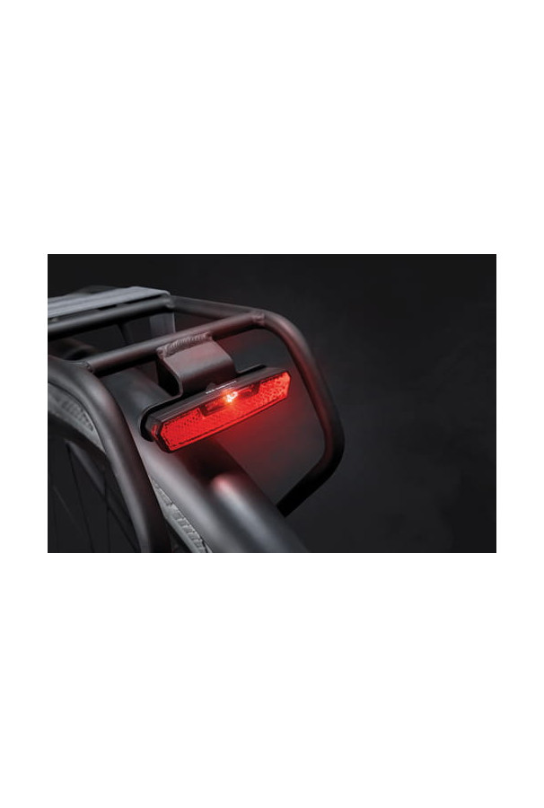 Lampka tylna AXA Juno E-bike 6-12v 80mm