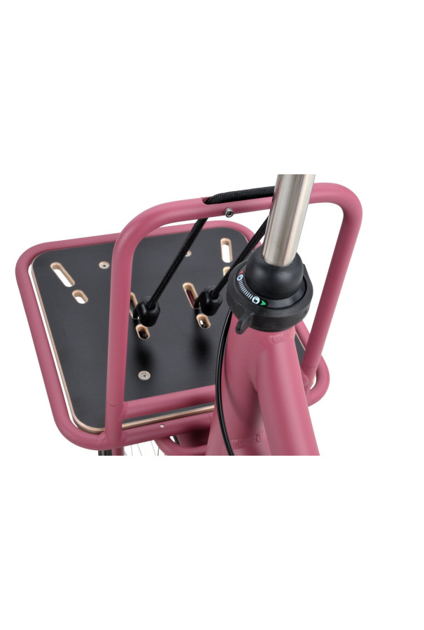 Rower Batavus PACKD 3 różowy mat D49