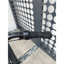 Rower elektryczny Gazelle AMI C7 HMS L49 26" 418Wh