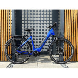 Rower elektryczny Haibike Trekking 4 Low 500Wh M50