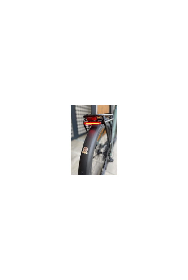 Rower elektryczny Haibike Trekking 5 Low i750Wh D50