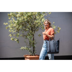 Torba rowerowa New Looxs Shopper Kota Nomi