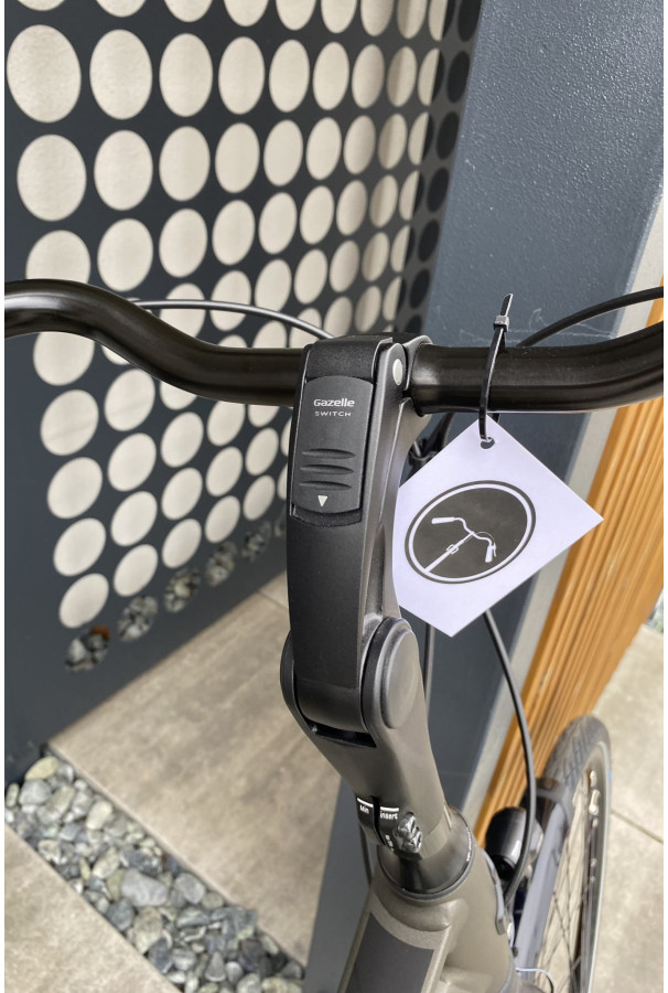 Gazelle Chamonix C8 Coffee Brown damski