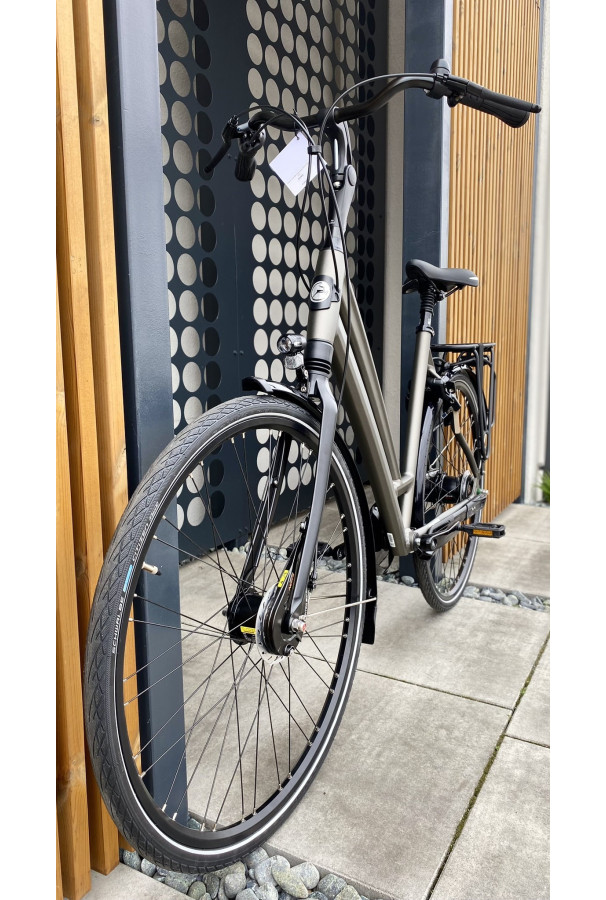 Gazelle Chamonix C8 Coffee Brown damski