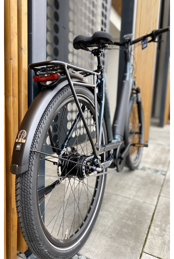 Winora Sinus N8 Wave i500Wh Petrol D54