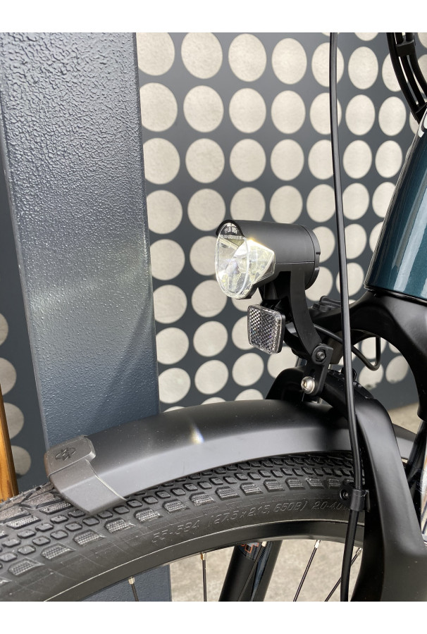 Winora Sinus N8 Wave i500Wh Petrol D54