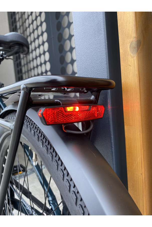 Winora Sinus N8 Wave i500Wh Petrol D54