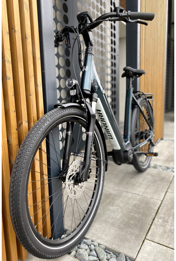 Winora Sinus N8 Wave i500Wh Petrol D54