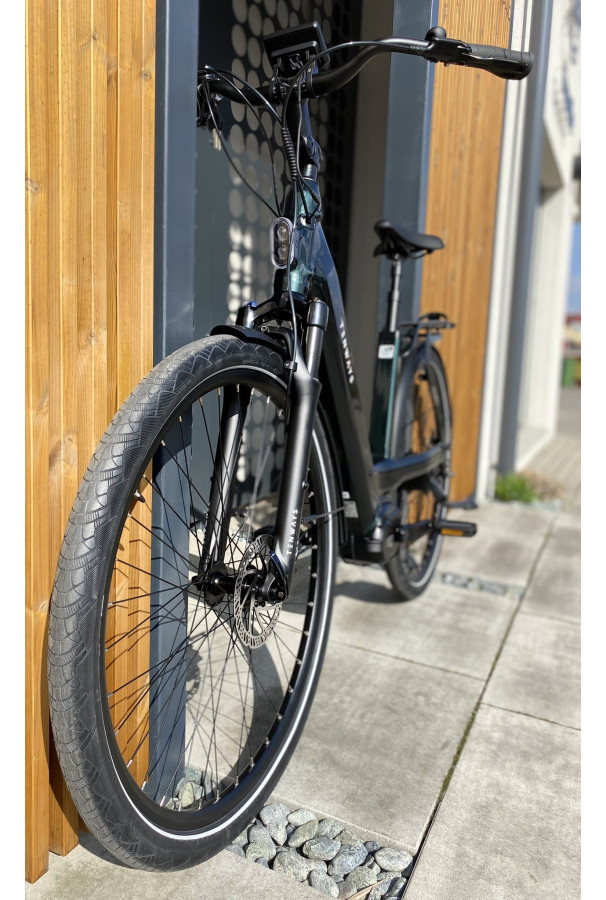Rower Tenways AGO T e-bike 480 mm Jungle Green