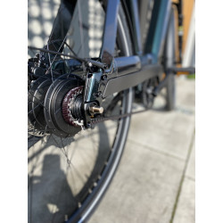 Rower Tenways AGO T e-bike 480 mm Jungle Green