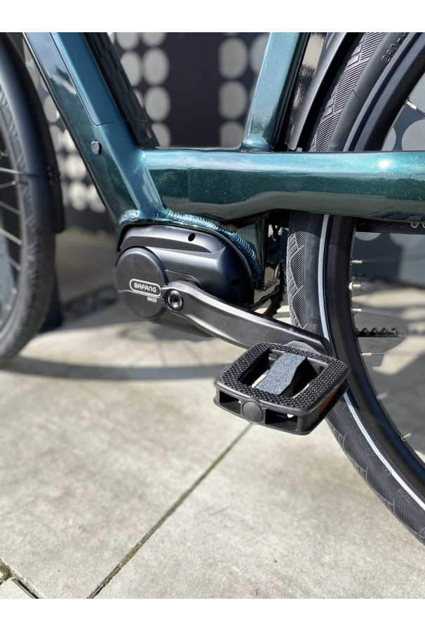 Rower Tenways AGO T e-bike 480 mm Jungle Green