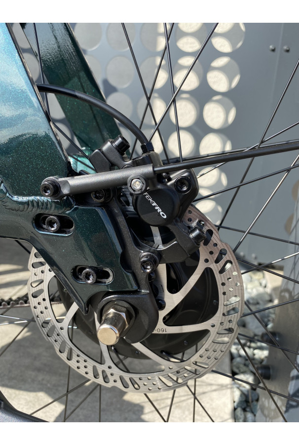 Rower Tenways AGO T e-bike 480 mm Jungle Green