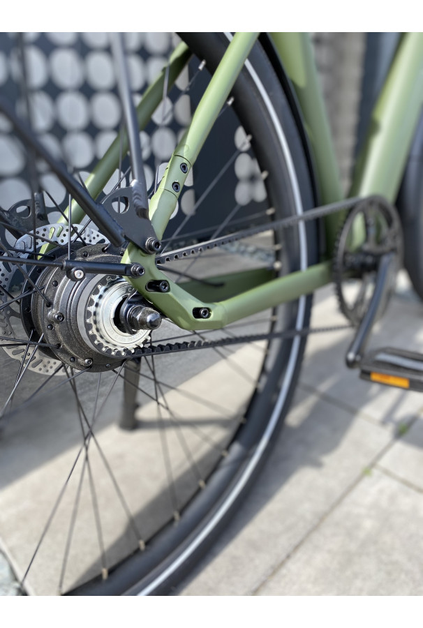 Tenways CGO009 Ebike 374Wh Jungle Green