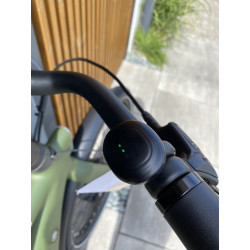 Tenways CGO009 Ebike 374Wh Jungle Green