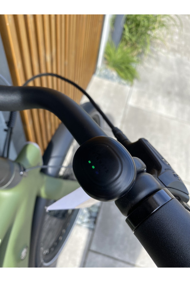 Tenways CGO009 Ebike 374Wh Jungle Green