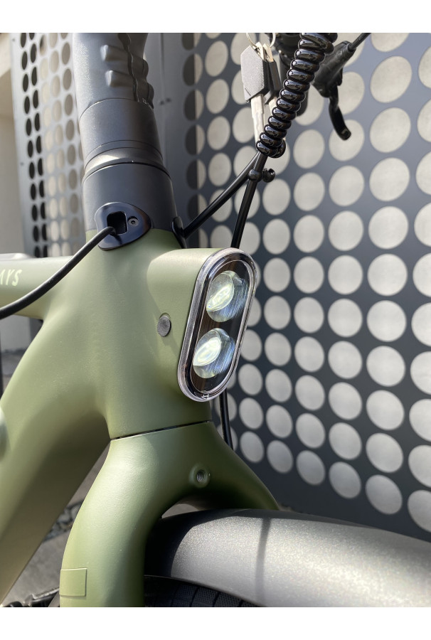 Tenways CGO009 Ebike 374Wh Jungle Green
