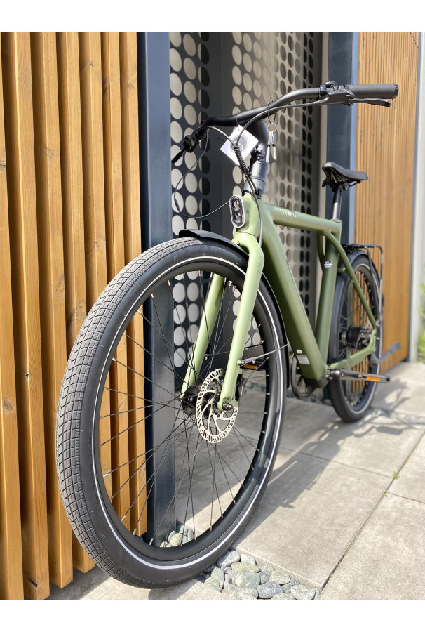 Tenways CGO009 Ebike 374Wh Jungle Green