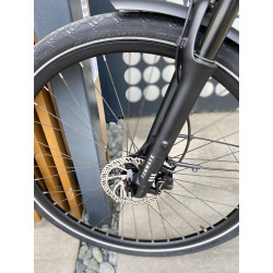 Rower Tenways AGO T e-bike 480 mm Pearl White
