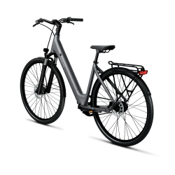 Rower Tenways CGO800S E-bike 480 mm Pebble grey