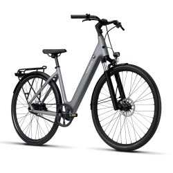 Rower Tenways CGO800S E-bike 480 mm Pebble grey