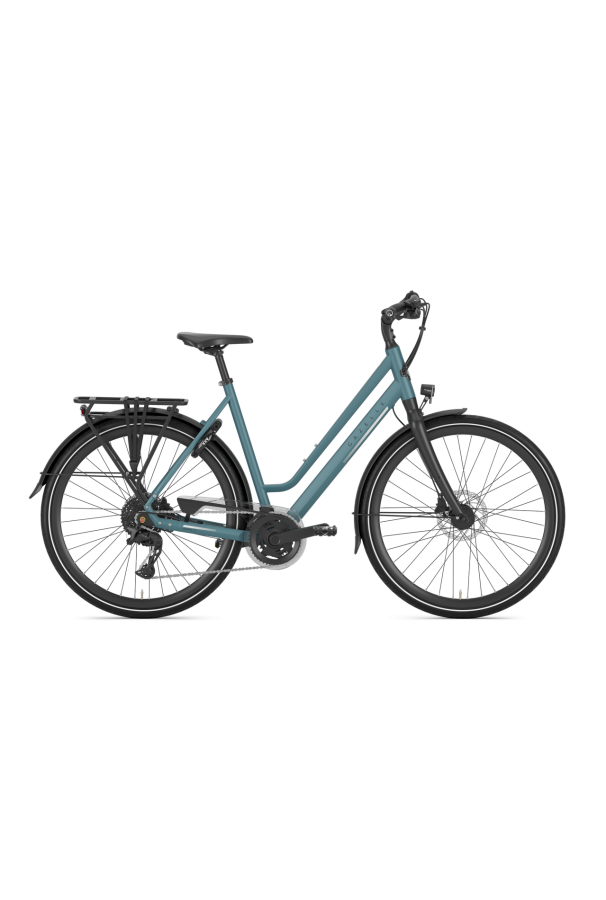 Rower trekkingowy Gazelle Chamonix T20 D57 S20