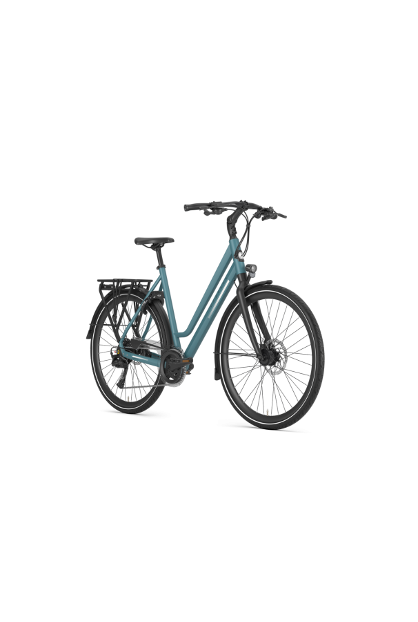 Rower trekkingowy Gazelle Chamonix T20 D53 S20