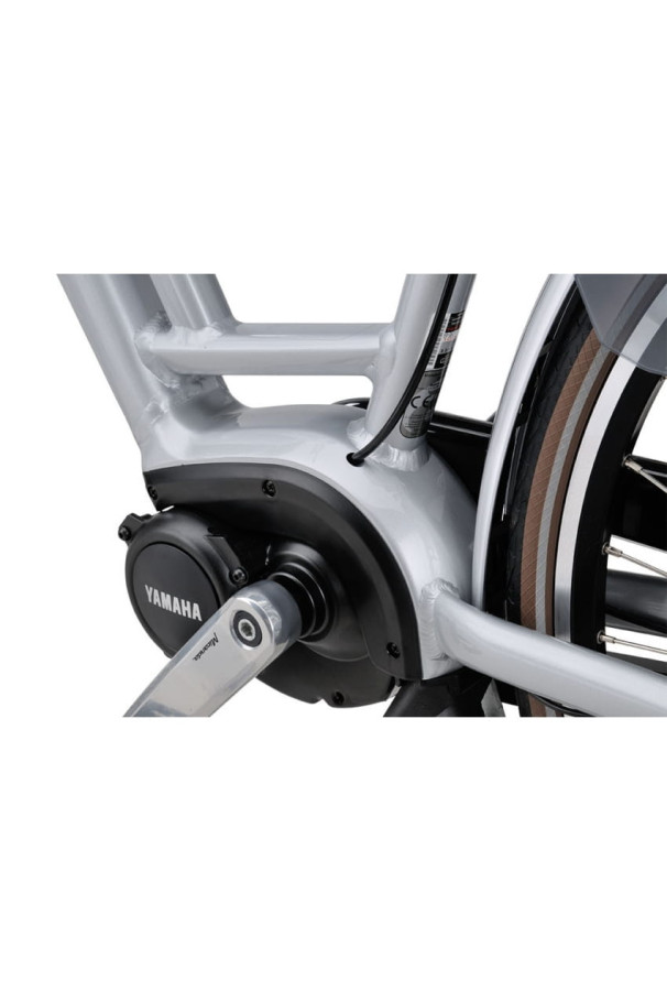 Ładowarka do systemu Yamaha Batavus Stream