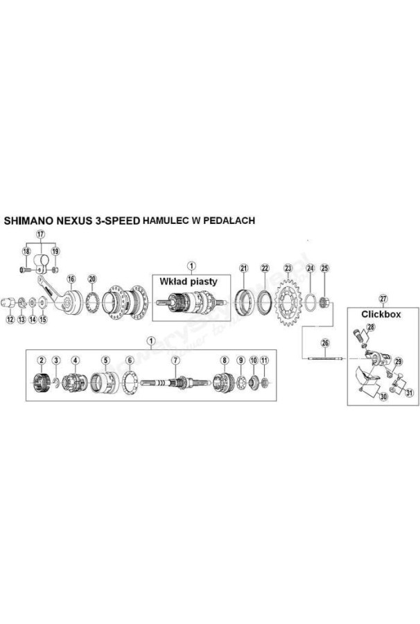 Element przeniesienia napędu Nexus 3
