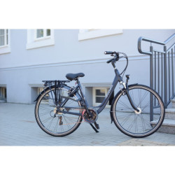 Przedni błotnik Gazelle Orange, Chamonix, Miss Grace