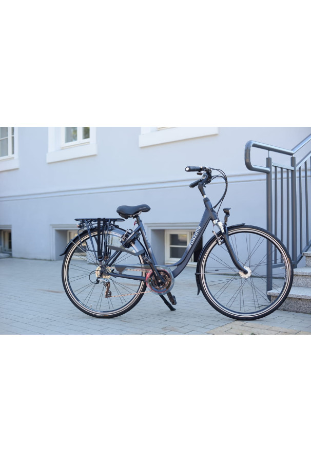 Przedni błotnik Gazelle Orange, Chamonix, Miss Grace