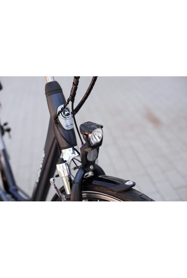 Przedni błotnik Gazelle Orange, Chamonix, Miss Grace