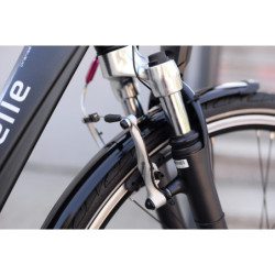 Przedni błotnik Gazelle Orange, Chamonix, Miss Grace