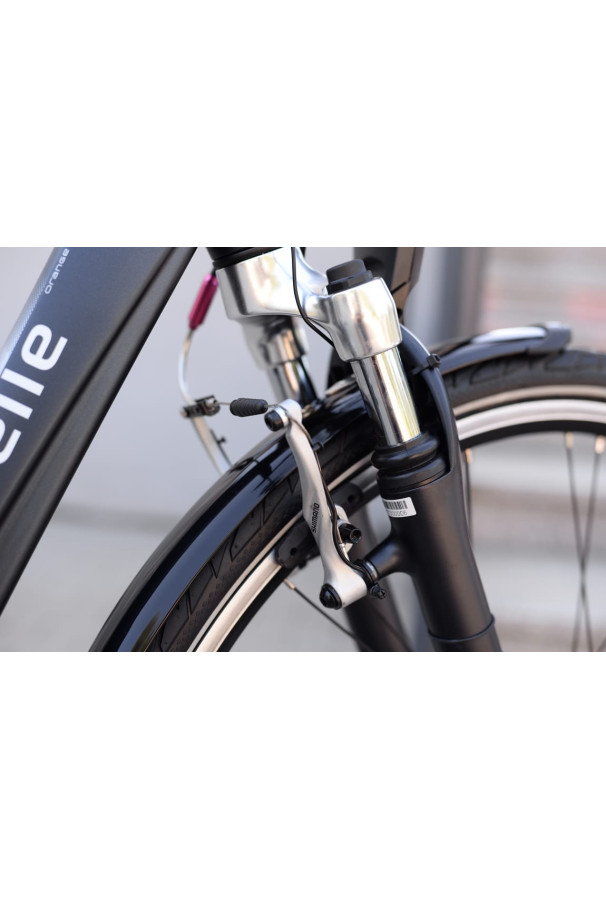 Przedni błotnik Gazelle Orange, Chamonix, Miss Grace