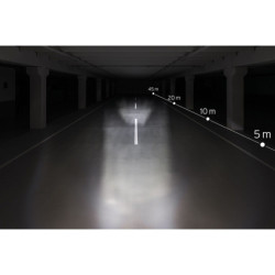 Lampka Busch & Muller Lumotec IQ Avy T 30 LUX