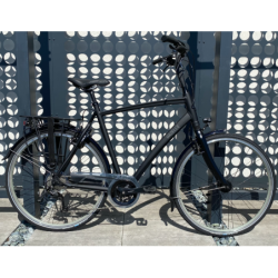 Rower Gazelle Chamonix T27 męski H61