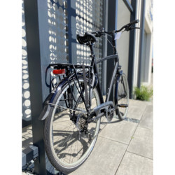 Rower Gazelle Chamonix T27 męski H61