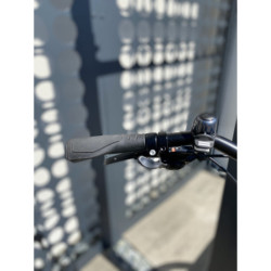 Rower Gazelle Chamonix T27 męski H61