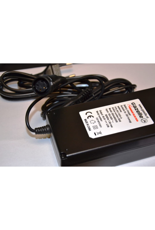 Ładowarka Gazelle Innergy od 2008 r.