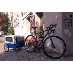 Przyczepka dla psa DOGGY XLC